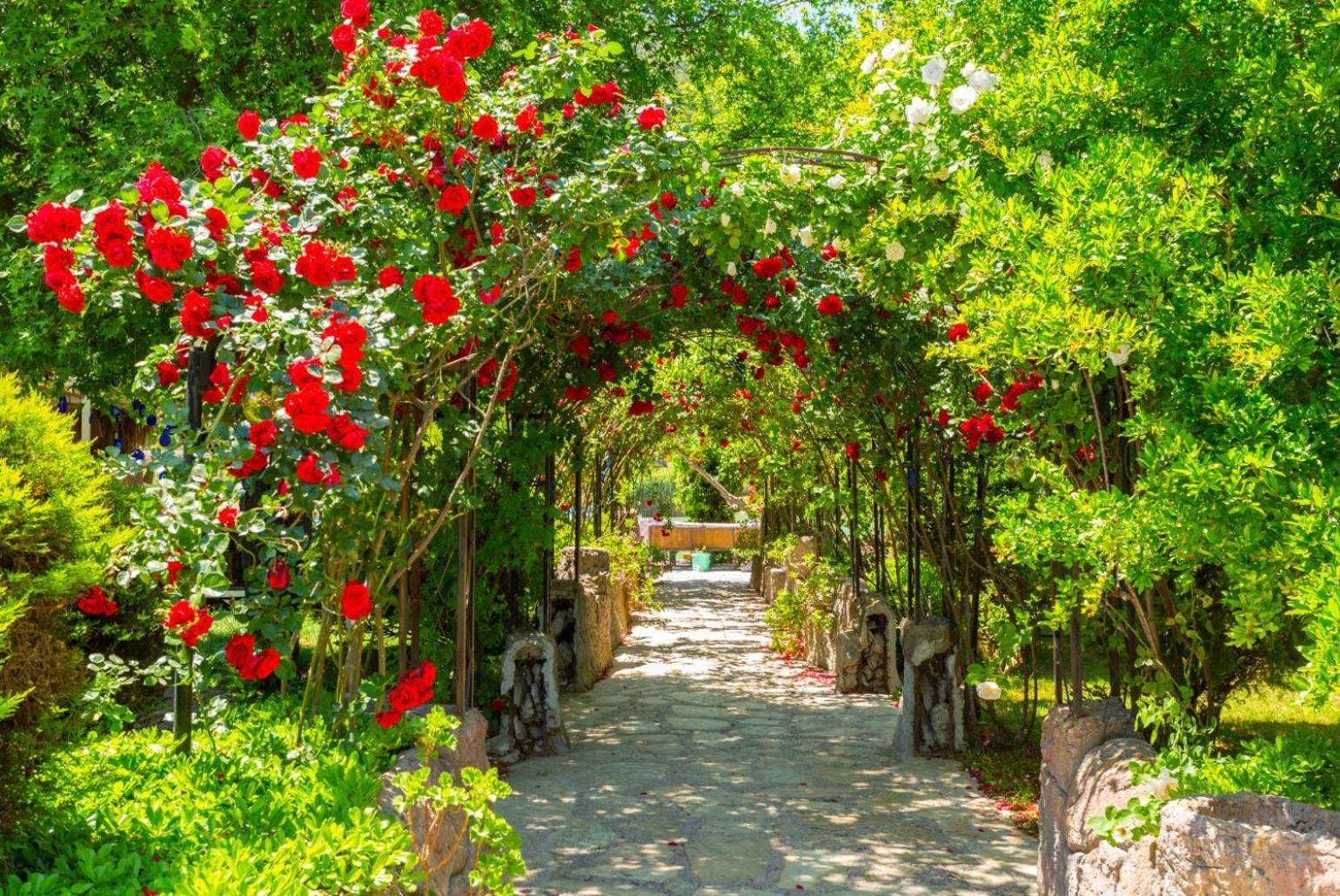 Villa Ayla Paradise Dalyan Kültér fotó